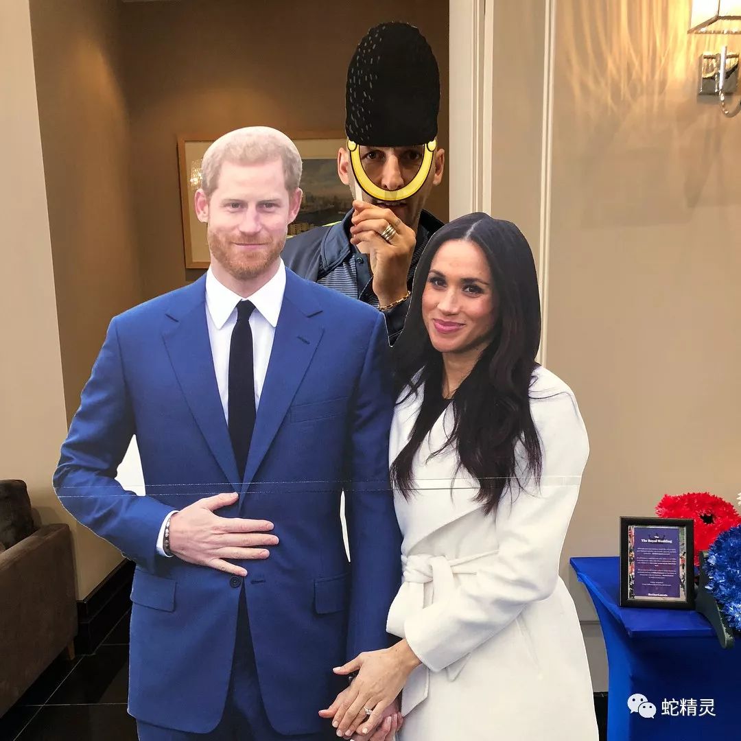 意甲集结日走向成谜；多伦多猛龙回应争议；压力陡增；医务组通报恢复(刷n遍的高干文)